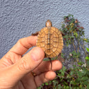 Vietnamese Three-striped Box Turtle