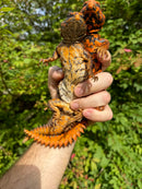 Super Red Niger Uromastyx Adult Pair