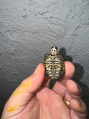 Hi White Concentric Diamondback Terrapin 2024