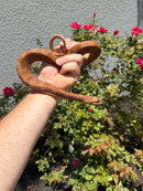 Red Salt Marsh Water Snake Adult Female
