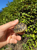 Leopard Tortoise 2024