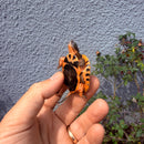 Vietnamese Three-striped Box Turtle