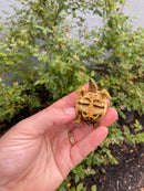 Burmese Star Tortoise 2026