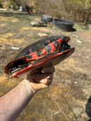 Northern Red Bellied Turtle Adult Pair