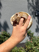 Banana Ball Python Mixed Morph Female