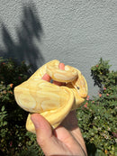 Banana Ball Python Mixed Morph Female