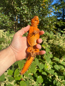 Super Red Niger Uromastyx Adult Pair