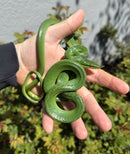 Rhinoceros Ratsnake Adult Female