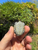 Hi White Concentric Diamondback Terrapin 2025