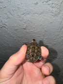 Hi White Concentric Diamondback Terrapin 2024