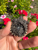 Alligator Snapping Turtle X Common Snapping Turtle