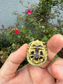 HI YELLOW Florida Box Turtle