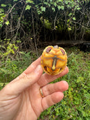 Hypo Cherrybomb Red Foot Tortoise Baby 2025