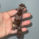 White Out Oreo African Fat Tailed Gecko Adult Female