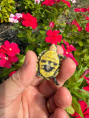 HI YELLOW Florida Box Turtle