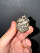 Hi White Concentric Diamondback Terrapin 2024