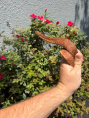 Red Salt Marsh Water Snake Adult Female