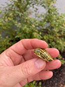 Pastel Clown Peacock Slider Baby 2026