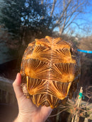 Spiny Hill Turtle Adult Pair