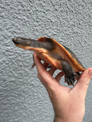 Pink Bellied Snapping Turtle Adult Pair