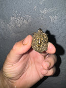 Hi White Concentric Diamondback Terrapin 2024