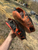 Northern Red Bellied Turtle Adult Pair