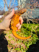 Super Red Niger Uromastyx Adult Pair