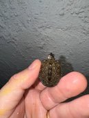 Hi White Concentric Diamondback Terrapin 2024