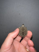 Concentric Diamondback Terrapin 2023 (Malaclemys terrapin)