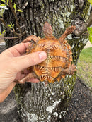 Spiny Hill Turtle CB 2024