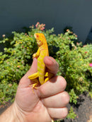Crimson Red Albino Green Iguana 2026