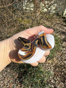 Hi White Pied Ball Python Female