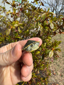 Pastel Picasso Red-Eared SliderTurtle