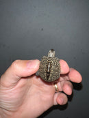 Concentric Diamondback Terrapin 2023 (Malaclemys terrapin)