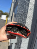 Super Red Northern Red Bellied Turtle Adult Female