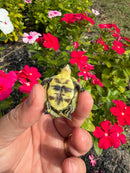 HI YELLOW Florida Box Turtle