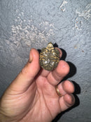 Hi White Concentric Diamondback Terrapin 2024