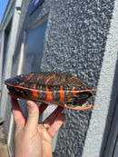 Super Red Northern Red Bellied Turtle Adult Male