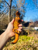 Super Red Niger Uromastyx Adult Pair