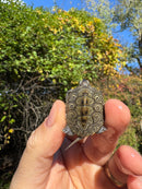 Hi White Concentric Diamondback Terrapin 2025