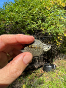 Hi White Concentric Diamondback Terrapin 2025
