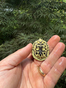 HI YELLOW Florida Box Turtle 2025