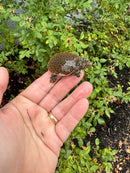 Hi Orange Leopard Softshell