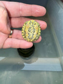 Hi Red Line Bred Pastel Red Eared Slider Turtle 2024