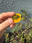 Supernova Golden Flame Florida Red Bellied Turtle