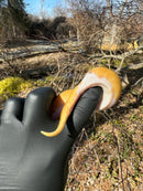 Pastel Pinstripe Low White Pied Ball Python Female