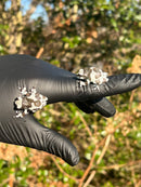 Amazon Milk Frog (Trachycephalus resinifictrix)