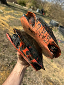 Northern Red Bellied Turtle Adult Pair