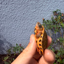 Vietnamese Three-striped Box Turtle