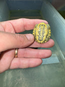 Hi Red Line Bred Pastel Red Eared Slider Turtle 2024